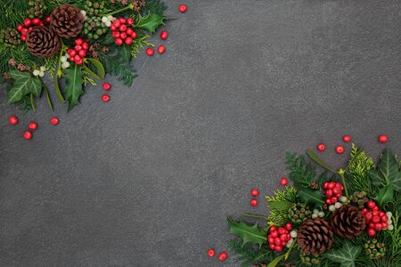 Christmas background border with winter flora of holly and loose berries, mistletoe, ivy and cedar leaves  on grunge grey background with copy space.の写真素材