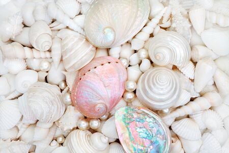 Seashell background with pearls and mother of pearl shells forming an abstract background.