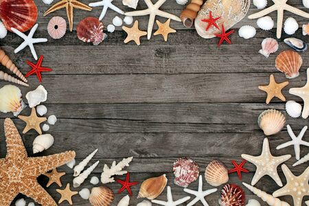 Seashell abstract background border on rustic wood with a wide variety of shells. Copy space.