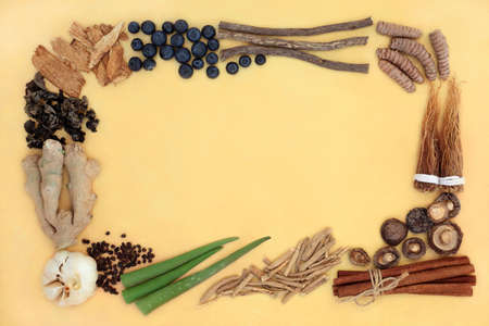 Adaptogen health food border with natural plant based herbs, spices & foods that help the body deal...