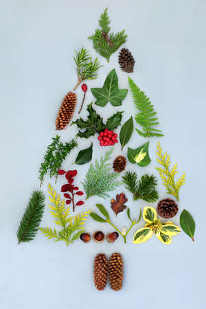 Christmas tree abstract shape concept with winter holly, flora and fauna. Eco friendly nature symbol...