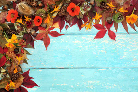 Autumn harvest abundance concept with European flora and fauna Natural Fall and Thanksgiving background border on rustic blue wood. Abstract nature composition for Harvest festival.の写真素材