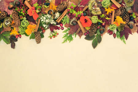 Autumn Harvest festival background border on hemp paper with European flora, fauna and food. Natural composition for the season of Fall and Thanksgiving. Top view, copy space.の写真素材