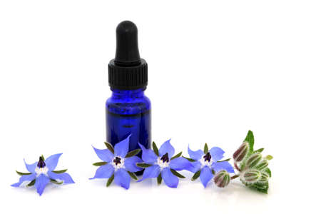 Borage herb flowers with essential oil bottle. Used in herbal medicine as a sedative, for hormonal problems, lung inflammation, bronchitis, colds and increases breast milk production. On white.の写真素材