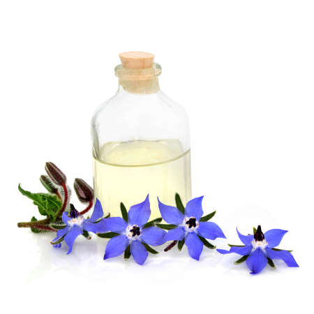 Borage herb wild flowers with glass oil bottle used in aromatherapy and  natural herbal plant medicine as a sedative, for hormonal problems, lung inflammation, bronchitis, colds. On white background.の写真素材