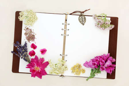 Herbs and flowers used in natural herbal plant medicine with old leather notebook. Natural health care concept on cream background. Copy space, flat lay, top view.の写真素材