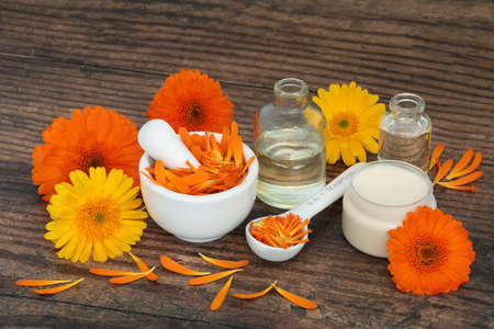 Preparation of calendula ointment with flowers for natural skincare remedies. Heals wounds, acne, eczema, stimulates collagen, is antiseptic, anti inflammatory, anti bacterial. On rustic wood.の写真素材