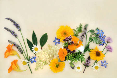 Summer herbs and flowers for use in herbal medicine, seasoning and food decoration. Preparation for natural plant based medicinal remedies on hemp paper background. Flat lay, top view.の写真素材