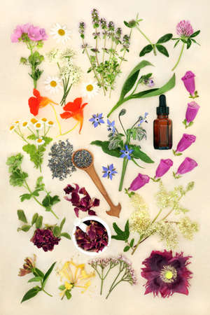 Aromatherapy essential oil preparation with flowers, wildflowers and herbs for natural herbal plant medicine treatments. Alternative nature health and wellness concept. Top view onの写真素材
