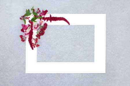 Autumn and Thanksgiving floral background frame with amaranthus flowers, antirrhinum, redcurrant berries. Minimal border composition with flora used in herbal plant medicine, on mottled grey.の写真素材