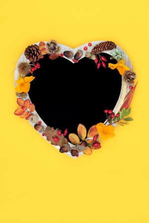 Heart shaped Autumn chalkboard frame, leaves, flowers, berries, grain and nuts. Thanksgiving and Halloween vivid nature composition with natural flora. On yellow background. Flat lay.の写真素材