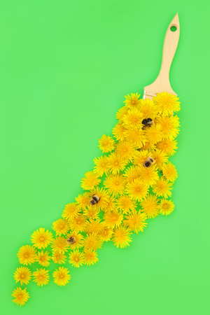 Dandelion flower bee pollination concept with various bees and paint brush abstract design....