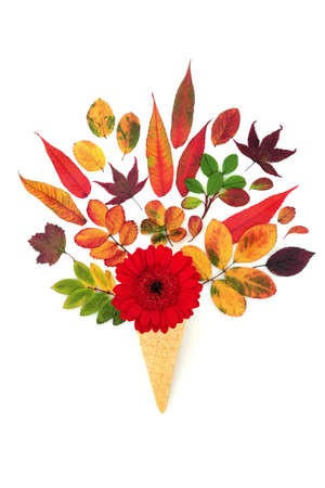 Surreal ice cream cornet Autumn and Thanksgiving flowers and leaves composition. Abstract Fall nature design with vivid red, orange, purple and yellow colours. Flat lay on white background.の写真素材