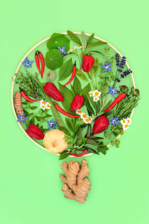 Herbal food seasoning abstract tree frame concept shape with edible flowers and herbs. Minimal surreal nature food design on green with wooden frame.の写真素材