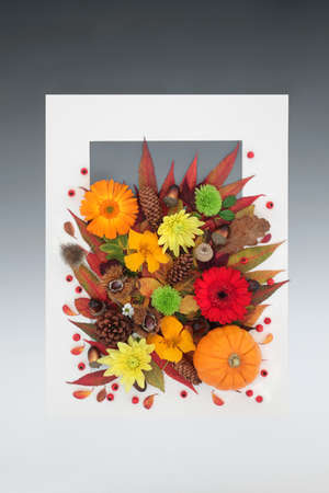 Thanksgiving Halloween and Autumn background border with leaves, flowers, berries and nuts. Nature Fall composition with natural flora. White frame on gradient grey. Flat lay.の写真素材