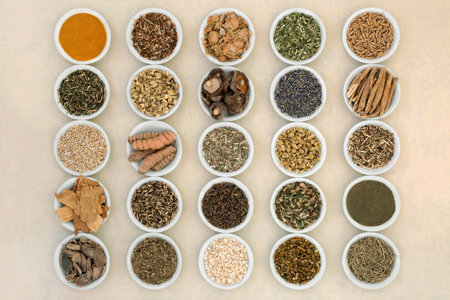 Nervine food herbal plant medicine to calm the nervous system of anxiety and stress. Healthy natural alternative health care. Large collection in bowls on hemp paper.の写真素材