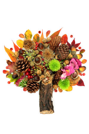 Abstract tree design for Autumn and Thanksgiving with leaves, flowers, berry fruit, nuts. Surreal nature Fall composition with natural flora. On white background. Flat lay.の写真素材