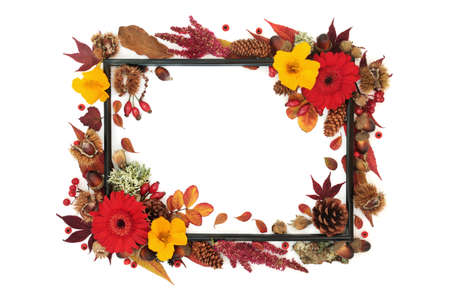 Symbols of Autumn season abstract background frame. Nature concept with leavers, flowers, nuts, berry fruit. Thanksgiving Fall composition with natural flora. Black frame on white.の写真素材