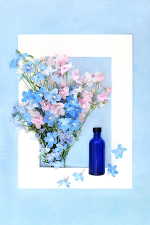Delphinium wildflower naturopathic herbal medicine with tincture blue glass bottle. Summer flora nature composition used in herbal medicine as a sedative. White frame on mottled blue.の写真素材