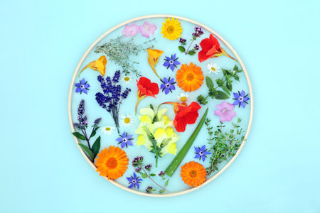 Flowers and herbs for natural plant based skincare healing beauty treatment. Can ease psoriasis, eczema, acne and wounds. Natural floral flower remedy healthcare with circular frame on blue background.の写真素材