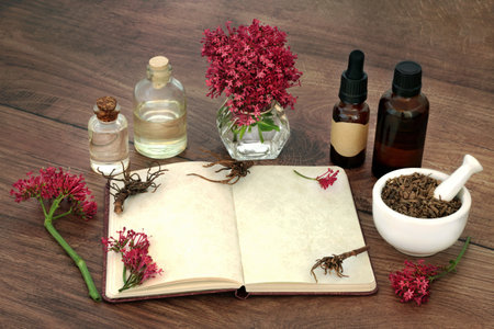 Valerian herb root with essential oil bottles, flowers, notebook. Alternative herbal adaptogen plant medicine to treat, anxiety, insomnia, headaches, menopause, digestive problems.の写真素材