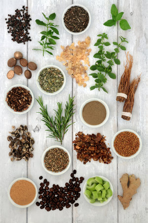 Nervine plant based food and herb collection. Heals and stimulates the nervous system. Healthy adaptogen natural alternative health care. On rustic wood.の写真素材