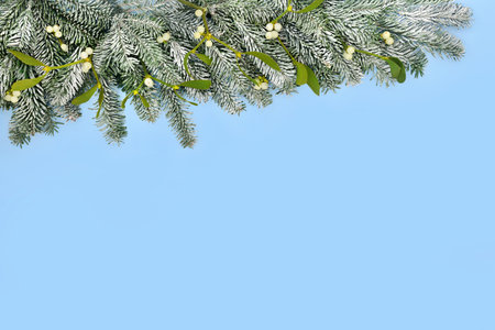 Christmas snow fir mistletoe background border on pastel blue. Minimal pagan nature composition for winter solstice, Xmas and New Year festive holiday season.の写真素材