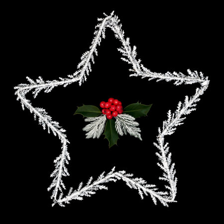 Christmas Star of Bethlehem glitter symbol decoration on black with holly and red berries. Traditional festive ornament for the Xmas and New Year holiday.の写真素材