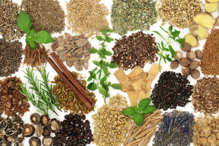 Nervine food herbal medicine. Large collection of herbs and foods to stimulate or relax the nervous system. Healthy natural adaptogen alternative health care plant medicine. On white.の写真素材