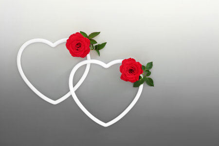 Valentines Day symbols of love with two heart shaped white frames and red rose flowers. Romantic beautiful nature flora concept. Suitable for birthday, Mothers Day, anniversary.の写真素材