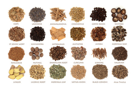 Nervine health food, large collection, herbal plant medicine with herbs, spice and foods used to relax or stimulate the nervous system. Healthy alternative natural healthcare. On white with titles.の写真素材