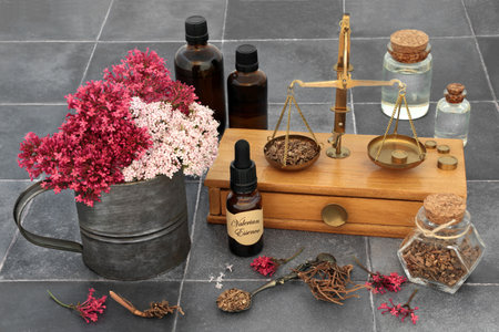Valerian herb root to treat insomnia, anxiety, stress, headaches, menopause, digestive problems with essential oil bottles, apothecary scales, flowers. Herbal healthcare plant medicine concept.の写真素材