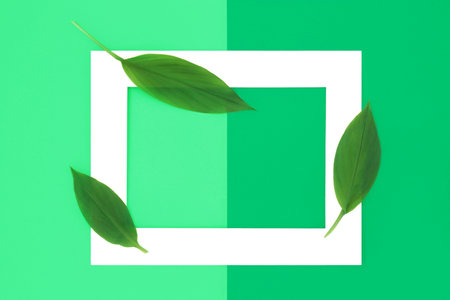 Go green for clean energy design with fresh turmeric leaves. Abstract minimal design with white...