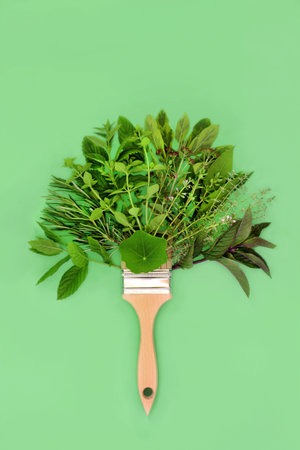 Abstract herb leaf tree shape paintbrush concept. Surreal minimal creative eco symbol nature logo design on pastel green background. Flat lay.の写真素材