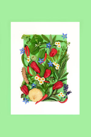 Plant based herbs for food decoration, edible wildflowers and spice seasoning background border. Healthy fresh nature design on green with white frame. Flat lay.の写真素材