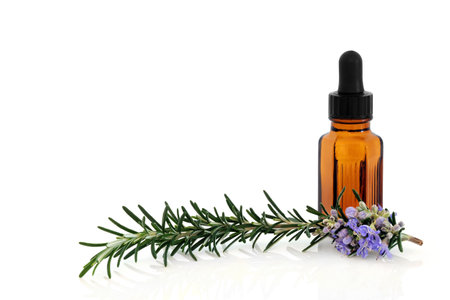 Rosemary herb herbal plant medicine and food seasoning with aromatherapy essential oil bottle. Boosts immune system, improves blood circulation, treats bronchial asthma. On white, copy space.の写真素材