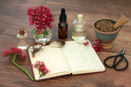 Valerian herb plant medicine with root, flowers, notebook, oil essence bottles. Natural herbal remedies to treat, anxiety, insomnia, headaches, menopause, digestive problems.の写真素材