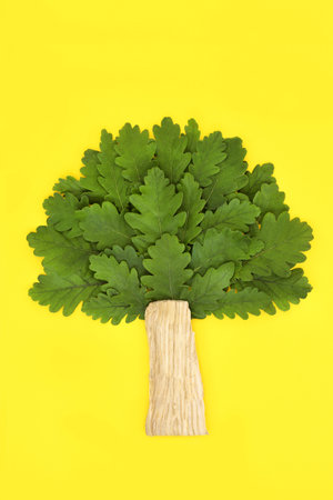 Surreal oak tree shape abstract concept symbol with green leaves and trunk. Eco and environmentally friendly design for brands and logos. On yellow background.の写真素材