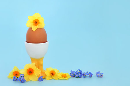 Brown speckled boiled egg in novelty chicken egg cup with Spring daffodil narcissus and forget me not flowers. Healthy fresh organic food natural fun nature concept.の写真素材