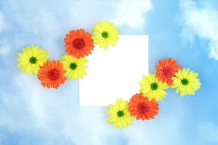 Summer chrysanthemum flower abstract frame on blue sky cloud background. Orange yellow flowers. Nature  colourful flora border composition, flat lay top view, copy space on white.の写真素材