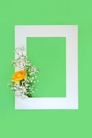 Floral spring abstract background border with rose and gypsophila flowers on green with white frame. Composition for in memorium order of service, greetings card, menu, gift tag, label. Top view, copy spaceの写真素材