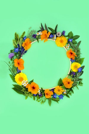 Herb and edible flower and wildflower wreath for natural herbal plant based medicine. Creative minimal design natural health food concept. On pastel green background, flat lay.の写真素材