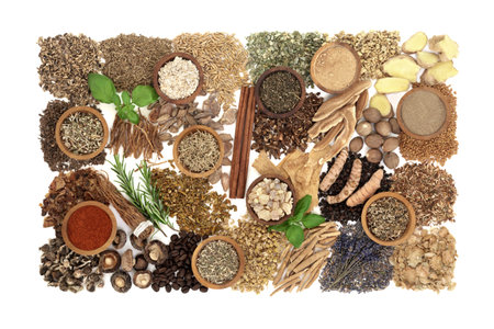 Nervine health food ingredients used to balance and relax or stimulate the nervous system. Natural health care herbal plant medicine. On white, flat lay.の写真素材