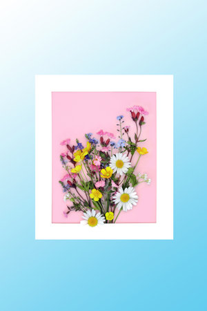 Wild flower posy abstract picture frame on pink background. Minimal abstract border on gradient blue. Beautiful Spring nature composition for Mothers Day, Easter, birthday.の写真素材