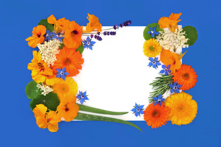 Flowers, herbs and wildflowers abstract background. Homeopathic and naturopathic herbal plant medicine ingredients. Summer nature floral composition on blue, white copy space.の写真素材