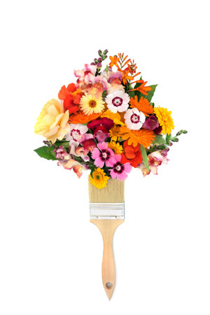 Bizarre paintbrush surreal flower splash with colourful summer flowers. Flora also used in alternative herbal plant medicine. Abstract nature concept on white background. Flat lay.の写真素材