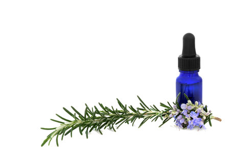 Rosemary herb herbal plant medicine and food seasoning with aromatherapy essential oil bottle. Boosts immune system, improves blood circulation, treats bronchial asthma. On white, copy space.の写真素材