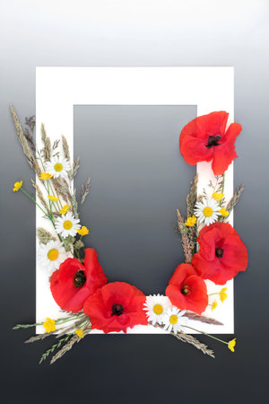 Natural summer wildflower background with white frame, meadow flowers and grasses. Minimal nature beauty concept. Border on gradient grey.の写真素材