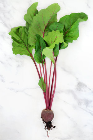 Beetroot plant with earth root ball and leaves. Healthy super food local sustainable freshly picked produce high in polyphenols, antioxidants, anthocyanins, fibre, vitamins and minerals. On marble.の写真素材