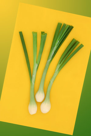 Spring onions healthy salad organic fresh food, high in vitamins, minerals, antioxidants, dietary fibre and can reduce cholesterol levels. On yellow and gradient green background.の写真素材